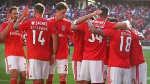 As notas dos jogadores do Benfica frente ao Rio Ave: do 1 de Samaris ao 4 de Salvio