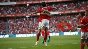 Benfica-Aves: o cumprimento de Vieira na bancada e a Luz rendida ao seu menino-bonito