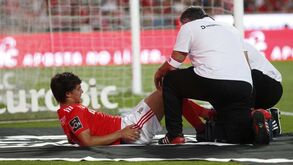 Sensações agridoce no Benfica: ala esquerda 'triturada' por lesões e Jonas de regresso
