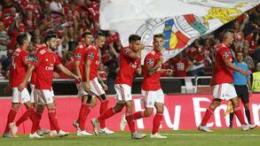 Do 2 de Rafa e Jonas ao 4 de Pizzi, Salvio e João Félix: as notas do Benfica frente ao Aves