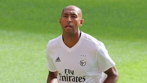 Luisão vai deixar o Benfica e terminar a carreira