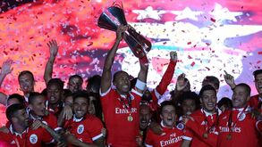 Luisão pendura as chuteiras: 20 fotos, 20 troféus que o colocam no topo do Benfica