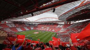 FPF não se opõe a eventual efeito suspensivo do recurso do Benfica