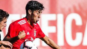 Benfica empata no terreno do Portimonense (2-2)