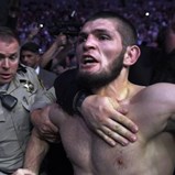 Khabib vs. McGregor: Novo vídeo da confusão