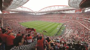  E-Toupeira: Benfica usa prazo extra para abrir instrução do processo