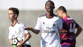 Benfica goleia Torreense por 7-0