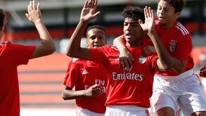 Benfica mais forte chega à mão-cheia