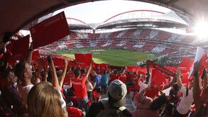 Estádio da Luz brilha há 15 anos