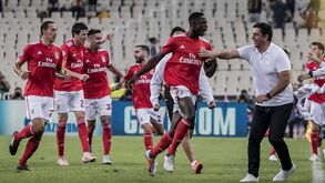 Invasão dos suplentes e sprints sem fim: golo de Alfa deixou jogadores do Benfica em loucura