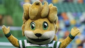 Sporting vai pagar multa por causa da 'indisciplina' da mascote
