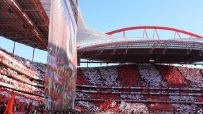 Música de tourada levanta bancadas da Luz e gera polémica