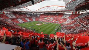 Benfica com pareceres favoráveis a recursos sobre sanções do IPDJ e tweet