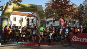 Rumo aos trails minhotos