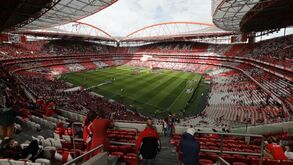 Correio da Manhã avança que Benfica já tem dados dos bloggers