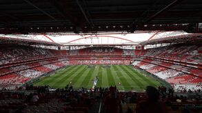 Google reage às notícias sobre acordo com Benfica: «Notificámos os utilizadores envolvidos»