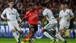 Os jogadores benfiquistas um a um: bomba agitadora de Gedson