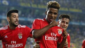 Benfica: dois meses, cinco renovações e um craque ainda por resolver