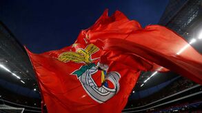 Benfica e a divulgação da conversa entre Vieira e Boaventura: «Ato de extrema gravidade»
