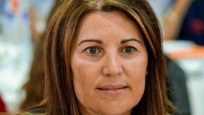 Caso das presenças de Silvano: deputada assume culpa e diz que palavras-passe são partilhadas