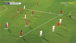 Portugal-Polónia visto à lupa: Pepe rápido... demais