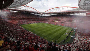 Benfica já tem dados dos bloggers e prepara-se para avançar com queixa