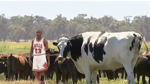 Quando o termo de comparação é Michael Jordan está tudo dito: este boi é gigante