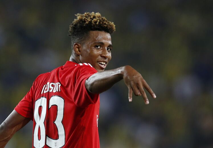 Gedson Fernandes, Benfica