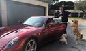 Cristiano Ronaldo - Ferrari 599GTB