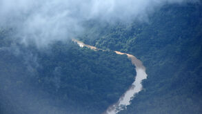 Calor e lama sanguessugas e formigas-de-fogo