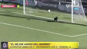 Argentina: guarda-redes fez asneira e só não foi golo... porque um cão defendeu