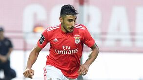 Sucessão de Salvio precavida