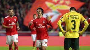 Benfica-P. Ferreira, 2-0