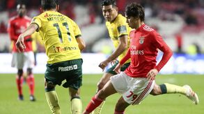 Os jogadores do Benfica um a um: pinceladas de Félix