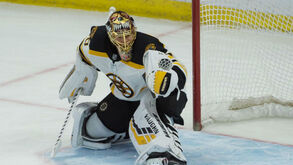 Boston Bruins-Arizona Coyotes: As emoções da NHL