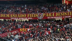 Benfica reconheceu em 2012 os privilégios dados às claques do clube