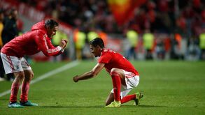 As reações ao golaço de André Almeida: Jonas com celebração curiosa e colegas incrédulos