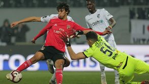 Trio de tubarões nunca larga João Félix