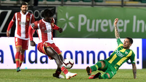 A crónica do Tondela-Aves, 0-2: Sinal vermelho no belo voo das Aves