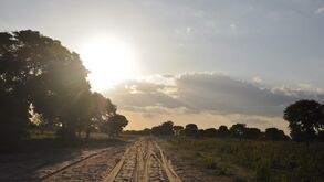 Aventura em Angola: Lembram-se do António Brás