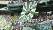 Torcida Verde - A posição da claque é de expectativa relativamente às consequências do fim do protocolo. Com um sector para mais de 400 elementos, que pagam quotas e Gamebox , recebia cerca de 100 bilhetes grátis por jogo.