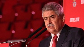 Vieira: «Casas do Benfica representam 1 em cada 2 bilhetes vendidos»