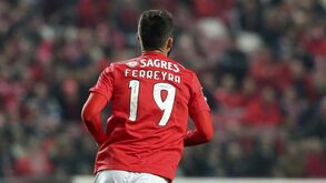 Balanço de mercado no Benfica: sem entradas e com quatro saídas