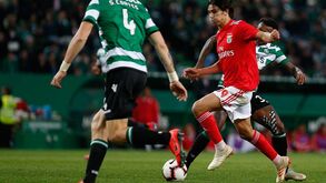 Os jogadores do Benfica um a um: uma joia presente