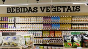 Bebidas vegetais: a solução para quem não pode (ou não quer) beber leite