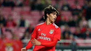Bruno Lage: «João Félix deslumbrado? Está-lhe tudo a passar ao lado»