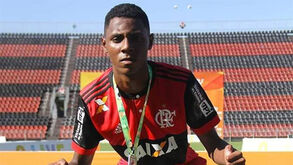 ADN identifica corpos da tragédia no Flamengo