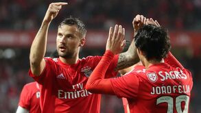 Luisão: «Que espectacular ver o Benfica jogar agora»