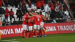 Vereadora do PSD em Lisboa critica goleada do Benfica: «Não se deve humilhar nem espezinhar»