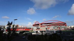 Benfica e a interdição da Luz: «Comissão formada por elementos escolhidos pelo FC Porto»